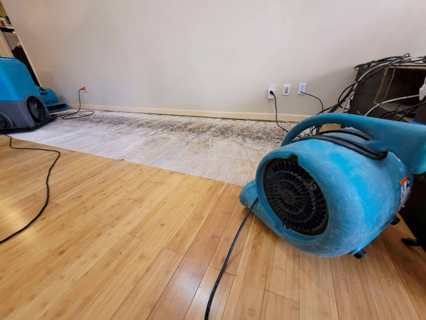 Professional Water Damage Repair technician working in Solomons, MD